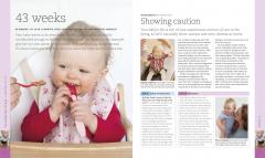 The Day-by-Day Baby Book