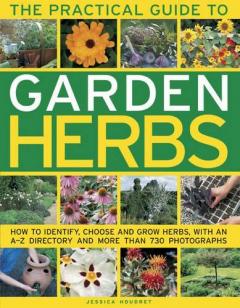 The Practical Guide to Garden Herbs