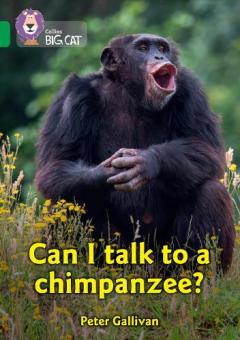 Language and Communication