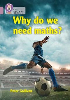 Does Maths Run the World?