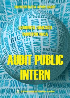 Audit public intern