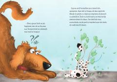 Jboara, Costica, jboara!