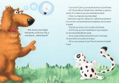 Jboara, Costica, jboara!