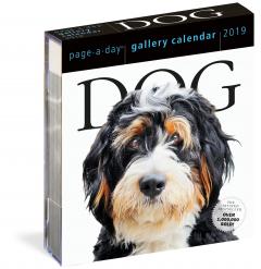 Calendar 2019 - Dog Gallery