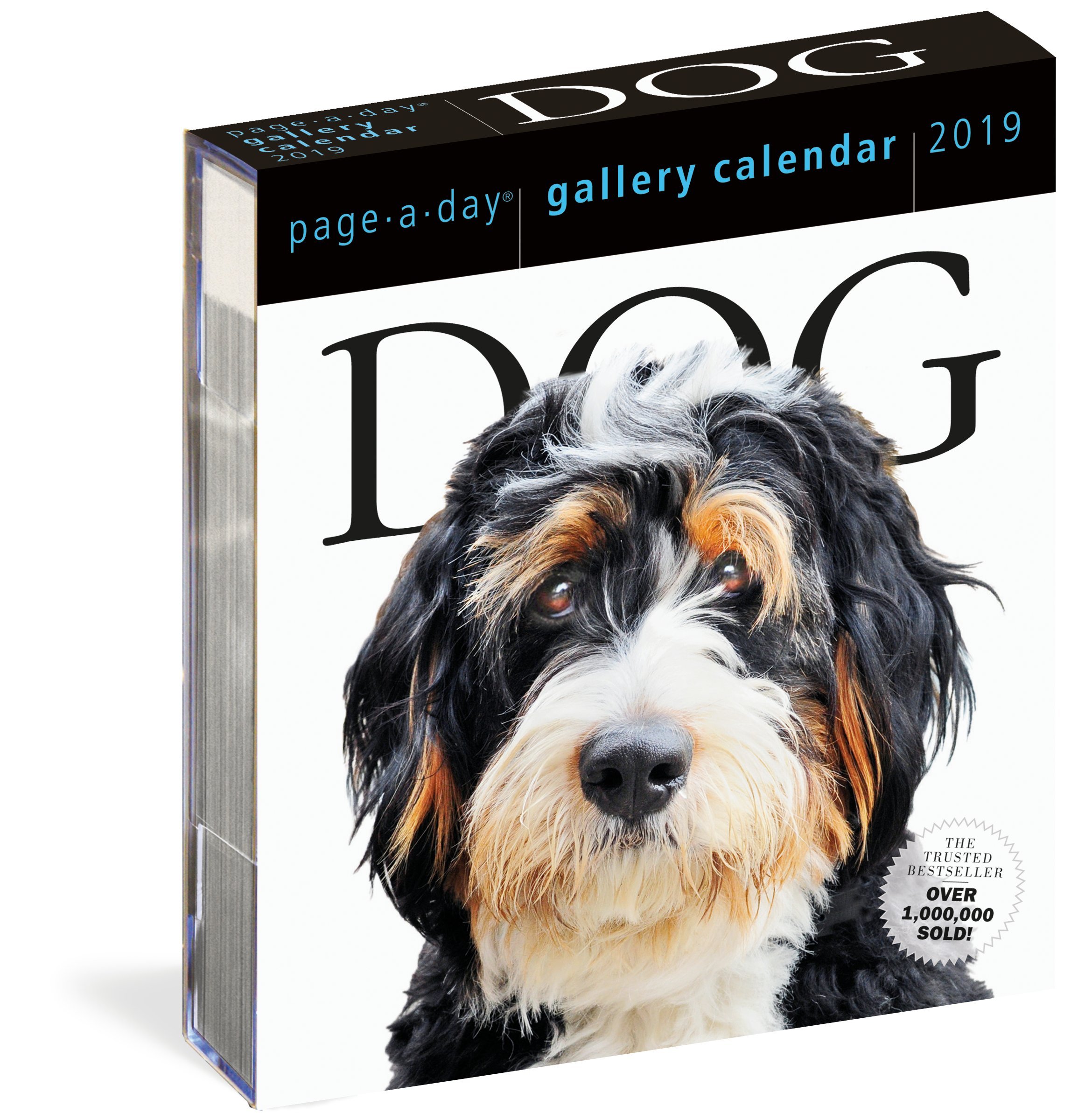 Calendar 2019 Dog Gallery Workman Publishing