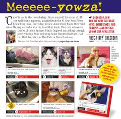 Calendar 2019 - Bad Cat Page-A-Day