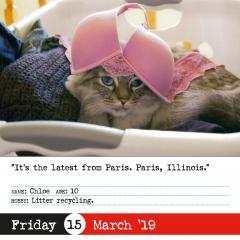 Calendar 2019 - Bad Cat Page-A-Day