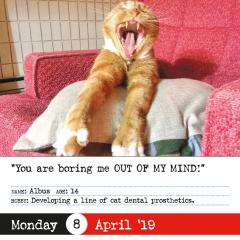 Calendar 2019 - Bad Cat Page-A-Day