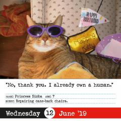 Calendar 2019 - Bad Cat Page-A-Day