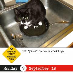 Calendar 2019 - Bad Cat Page-A-Day