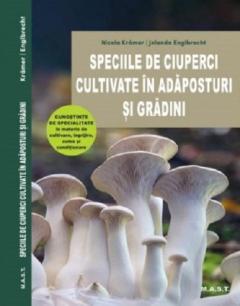 Speciile de ciuperci cultivate in adaposturi si gradini