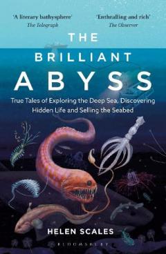 BRILLIANT ABYSS