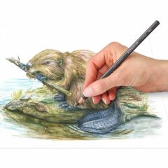 Set 12 creioane colorate - Tinted Watercolour - Design Journey