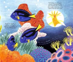 Let's Save the Great Barrier Reef