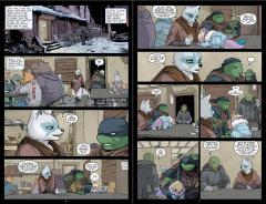 Teenage Mutant Ninja Turtles - Volume 14