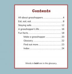 Fast Facts About Grasshoppers