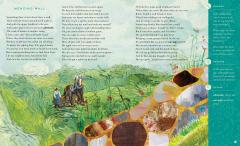 The Illustrated