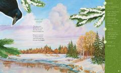 The Illustrated