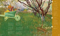 The Illustrated