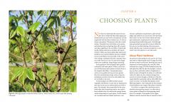 The Home-Scale Forest Garden