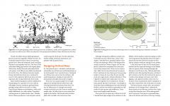 The Home-Scale Forest Garden