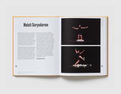 Sea: Contemporary Art in Southeast Asia