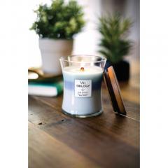 Lumanare parfumata - Medium Jar - Trilogy Woven Comforts