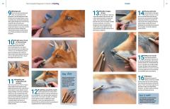 The Complete Beginner's Guide to Painting