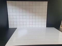 Plansa magnetica - Dezvoltare sciere