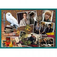 Puzzle 10in1 - Lumea lui Harry Potter