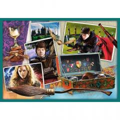 Puzzle 10in1 - Lumea lui Harry Potter