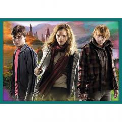 Puzzle 10in1 - Lumea lui Harry Potter