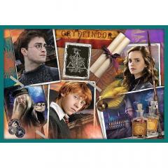 Puzzle 10in1 - Lumea lui Harry Potter