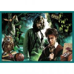 Puzzle 10in1 - Lumea lui Harry Potter