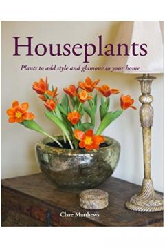 Houseplants: Plants to Add Style and Glamour to Your Home