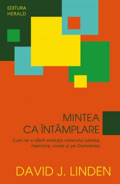 Mintea ca intamplare