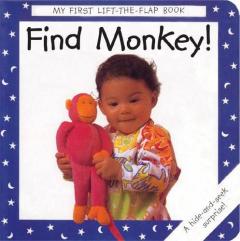 Find My Monkey!