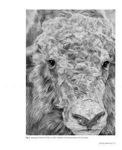 Victor Lundy: Artist Architect