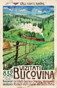 Poster inramat - Bucovina