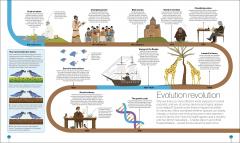 Timelines of Science