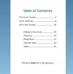 Animals of the Arctic Tundra