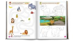 Taf si misterul din piatra. Grupele mica si mijlocie