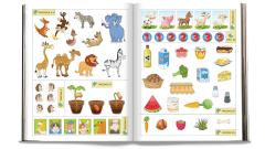 Taf si misterul din piatra. Grupele mica si mijlocie