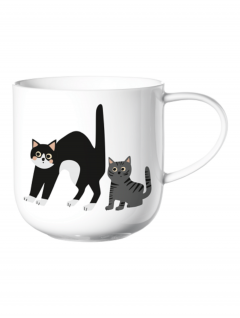 Cana - Pisici surprinse