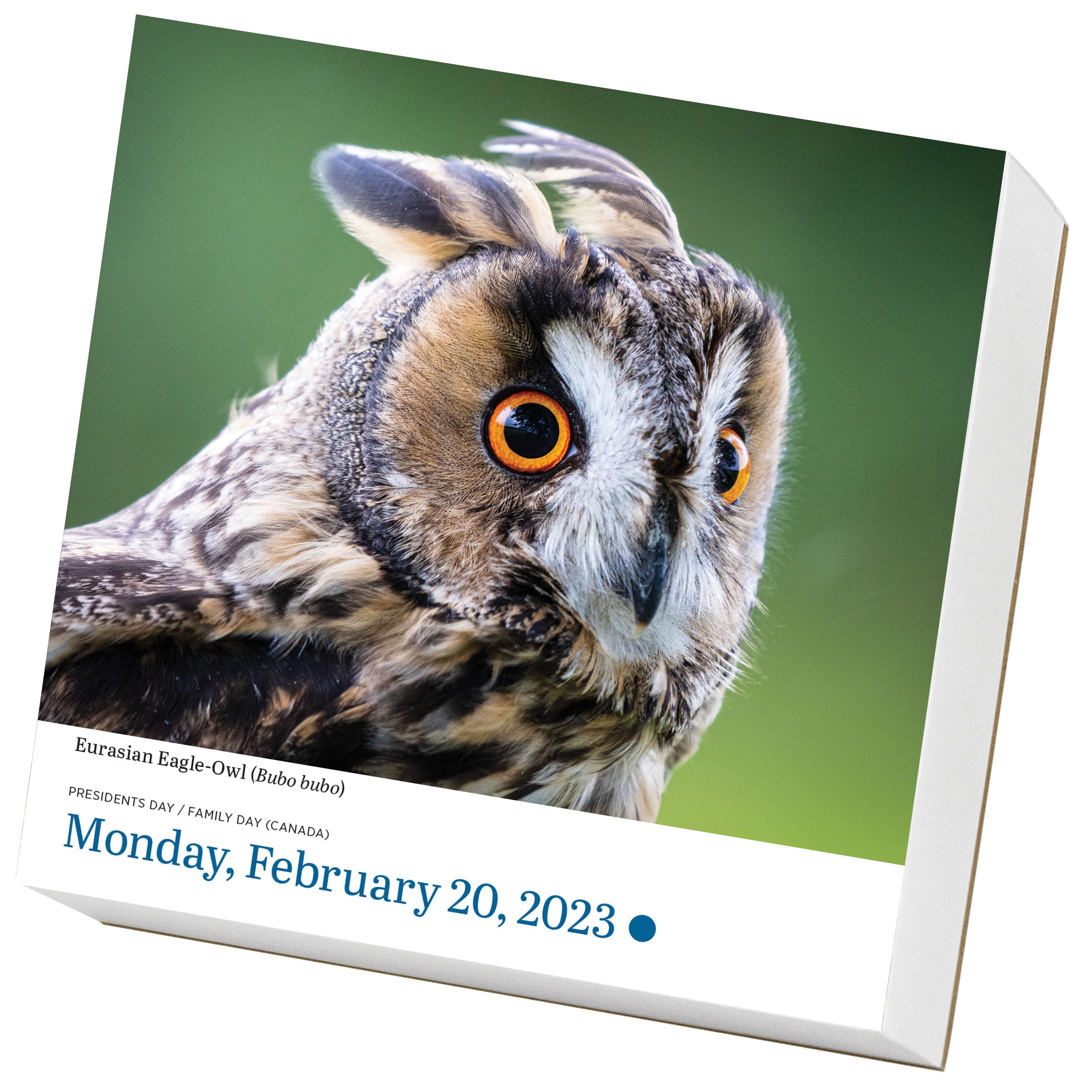 Calendar de birou 2023 PageADay Audubon Birds Workman Publishing