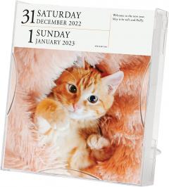 Calendar de birou 2023 - Page-A-Day - Cat