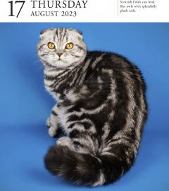 Calendar de birou 2023 - Page-A-Day - Cat