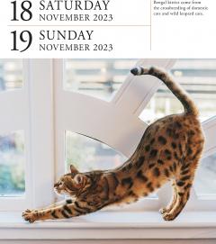 Calendar de birou 2023 - Page-A-Day - Cat