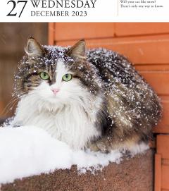 Calendar de birou 2023 - Page-A-Day - Cat