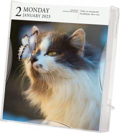 Calendar de birou 2023 - Page-A-Day - Cat